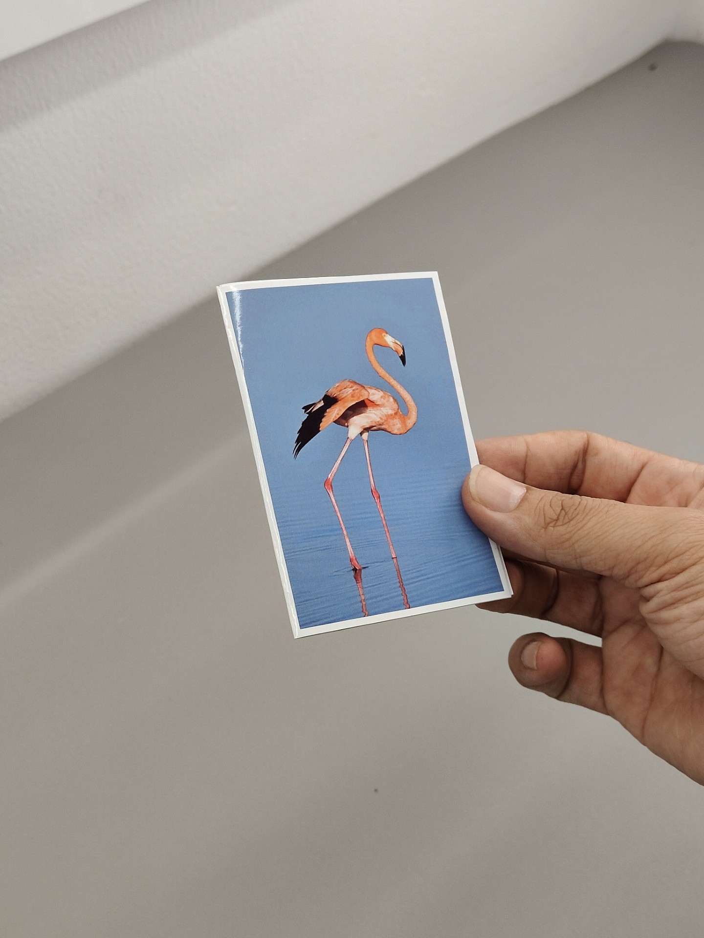 Photo zine A4 - thumbnail