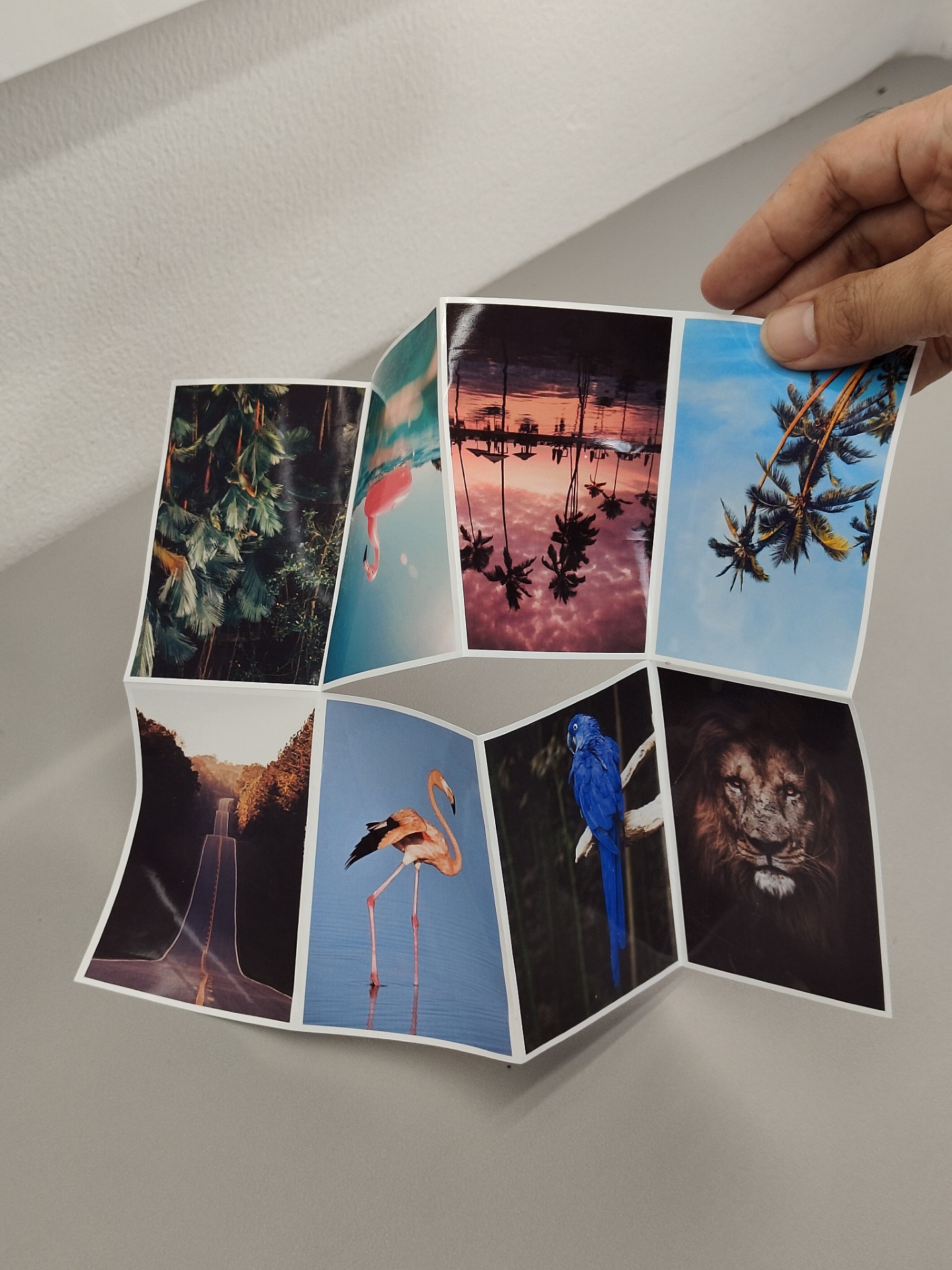 Photo zine A4 - thumbnail